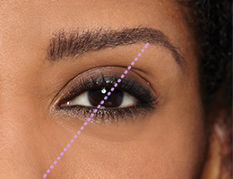 Extreme close-up of model with bold brows and dotted line showing where to find your brow arch