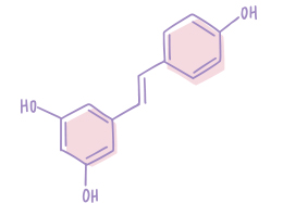 Ілюстрація молекулярної структури, що представляє собою ресвератрол