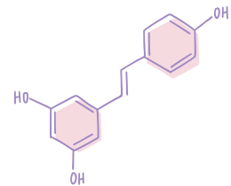 Художня ілюстрація молекулярної структури ресвератролу